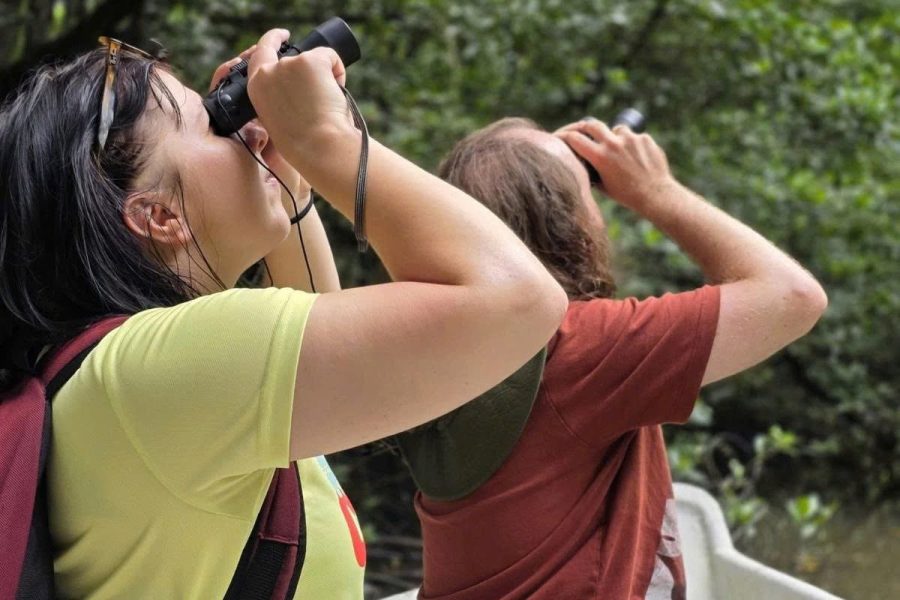 From Ho Chi Minh City: Can Gio Mangrove Birdwatching Tour